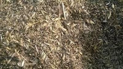 Купимо зерновідходи та некондиційне зерно. Самовивіз по Україні Чернигов - изображение 1