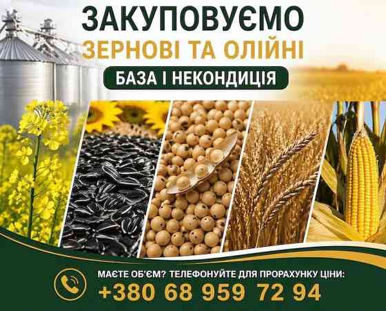 Закуповуємо с.г продукцію. База, некондиція Одеса