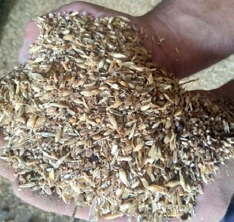 Купуємо зерновідходи та некондиційне зерно. Самовивіз Дніпро - зображення 1