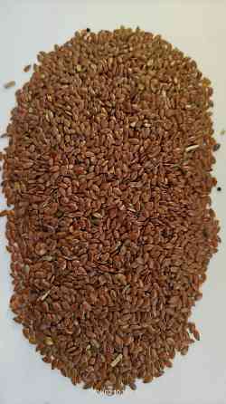Насіння льону олійного коричневого сорту- Лірина (Німеччина). Киев