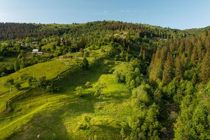 Земельна ділянка в Микуличині 1.40 га Яремче - зображення 6