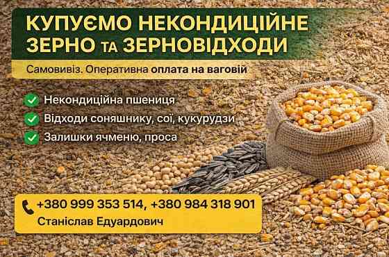 Купуємо некондицію та зерновідходи на постійній основі Чернигов
