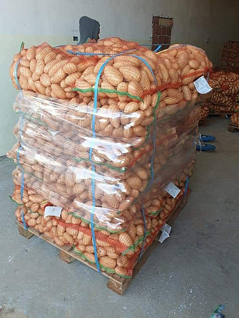 Fresh Vegetables Onion Донецьк - зображення 2