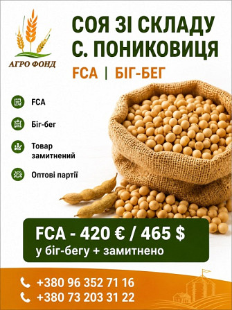 Купуємо сою! Ваша соя — наш клопіт Броди - зображення 1