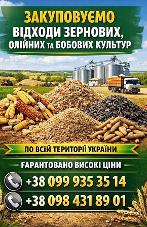 Купуємо зерновідходи, некондицію зернових та олійних Кропивницький - зображення 1