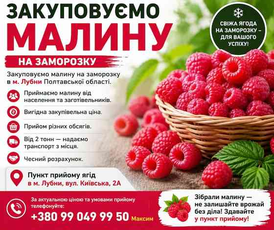 Закуповуємо малину на заморозку Суми