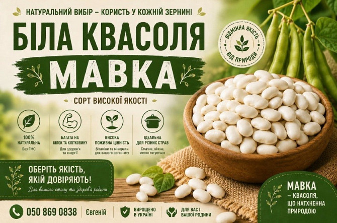 Продаж квасолі сорту Біла мавка(рисовка) Кропивницкий (Кировоград) - изображение 1
