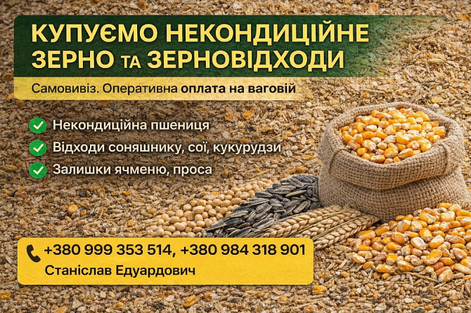 Закупівля некондиційного зерна та агровідходів по Україні Черкаси - зображення 1