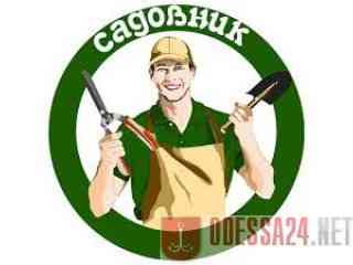 Садовник, обрезка сада, садовых деревьев, уход за садом Одеса Одеса