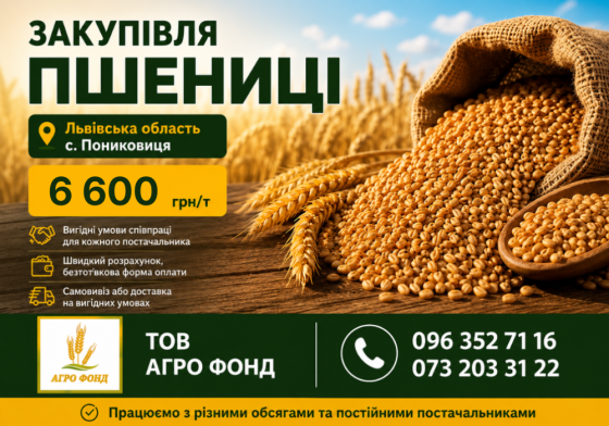 КУПЛЮ Фуражну пшеницю на склад (білок 10+) Львів