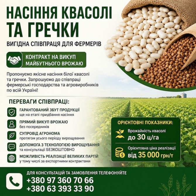 Насіння квасолі та гречки з контрактом на викуп врожаю Тернопіль - зображення 1