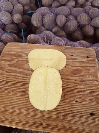 Продам смачну продовольчу картоплю сорту «Отолія» Житомир - изображение 1