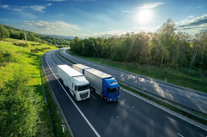 Польська родинна компанія шукає водіїв C+E — без посередників Николаев - изображение 1