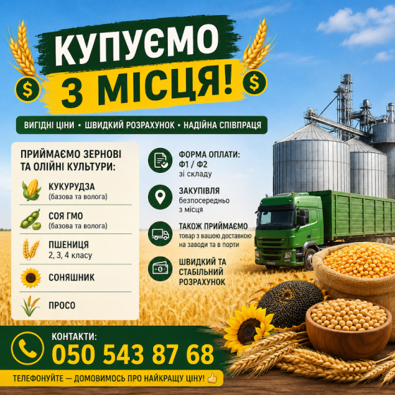 Приймаємо зернові та олійні культури Київ