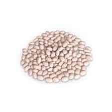 Переробне підприємство закуповує квасолю оптом Запорожье