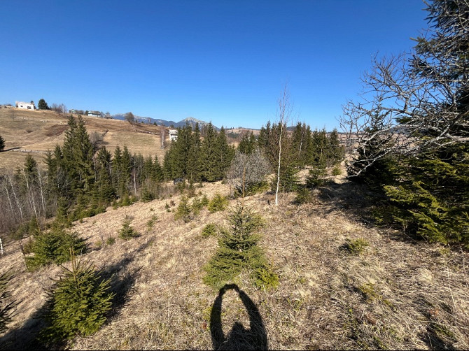 Земельна ділянка в Яблуниці 0.25 га Яремче - зображення 8