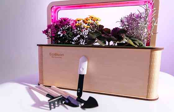EcoBloom Smart Garden Розумний сад вдома Львов