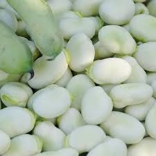 Посівний матеріал квасолі. Насіння квасолі. Ровно - изображение 1