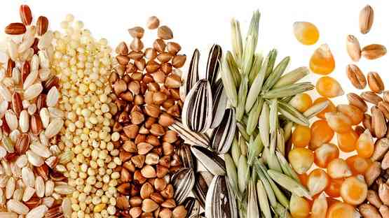 Закупаем зерновые и масличные культуры Дніпро