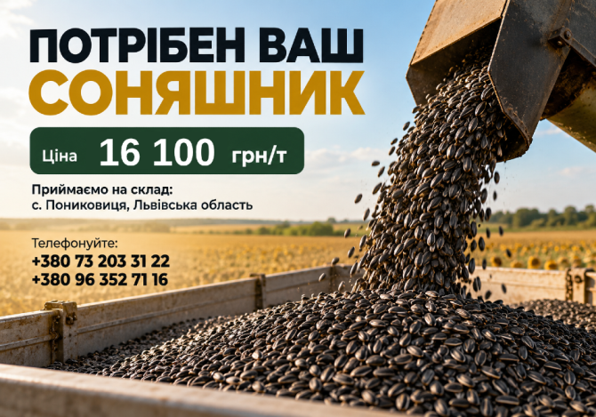 Потрібен ваш соняшник! Львов - изображение 1