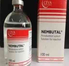 Where to buy Nembutal in Europe Київ