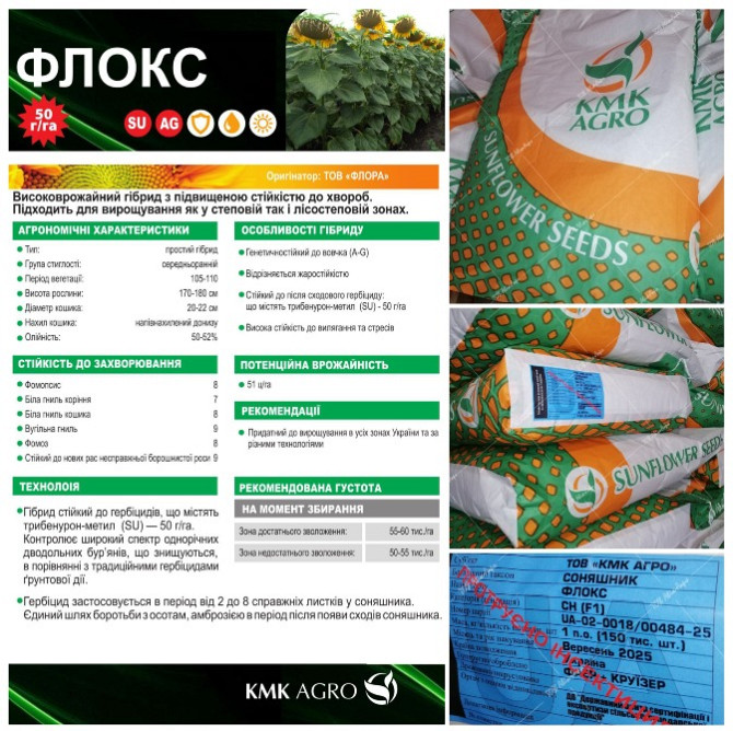 Насіння соняшника Флокс під Гранстар фракція Екстра Кропивницкий (Кировоград) - изображение 1