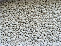 Купуємо квасолю дрібним та крупним оптом Тернополь - изображение 1