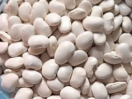 Купуємо квасолю на переробку, консервування. Самовивіз по Україні Чернігів - зображення 1