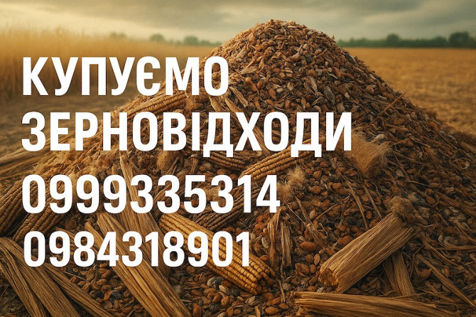Закуповуємо некондиційну с.г. продукцію та зерновідходи Суми - зображення 1