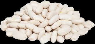 Купуємо квасолю у фермерів та с.г підприємств Хмельницкий - изображение 1