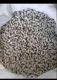 Закуповуємо квасолю по всій Україні із забезпеченням самовивозу. Кропивницький