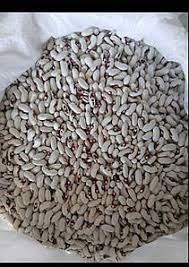 Закуповуємо квасолю по всій Україні із забезпеченням самовивозу. Кропивницький - зображення 1