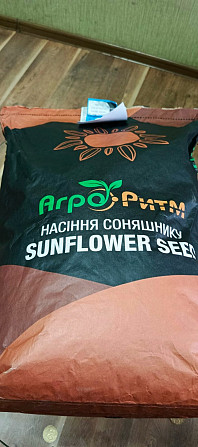 Насіння соняшнику Бомонд СТАНДАРТ Любашёвка - изображение 1