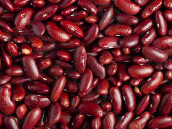 Оптова квасоля від виробника — великий вибір сортів Черкассы