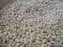 Посівма квасолі. Форвардні контракти. Гарантований викуп врожаю. Вінниця