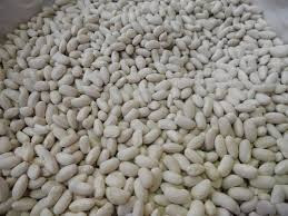 Посівма квасолі. Форвардні контракти. Гарантований викуп врожаю. Вінниця - зображення 1