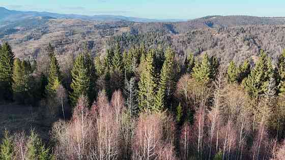 Земельна ділянка у Микуличині 0.76 га Яремче