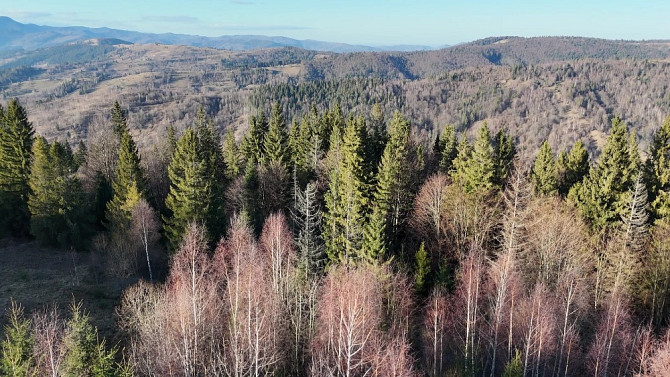 Земельна ділянка у Микуличині 0.76 га Яремче - зображення 2