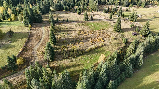 Земельна ділянка в Яблуниці 0.25 га Яремче - зображення 6