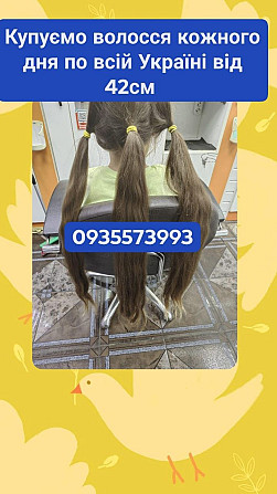 Купую волосся кожного дня по всій Україні від 42 см -093573993 Київ - зображення 1