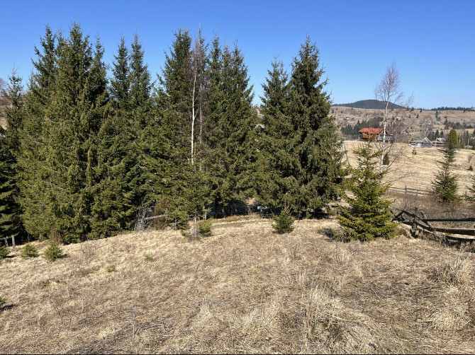 Земельна ділянка в Яблуниці 0.25 га Яремче - зображення 6