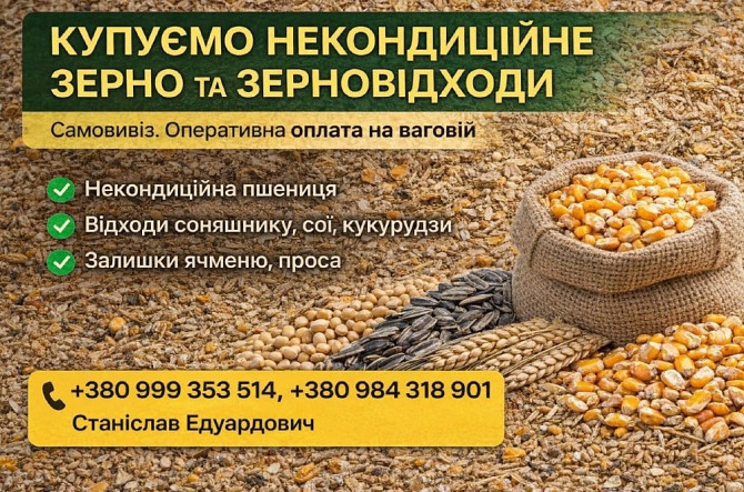 Куплю зерновідходи, некондицію та побічну агропродукцію Кропивницький - зображення 1