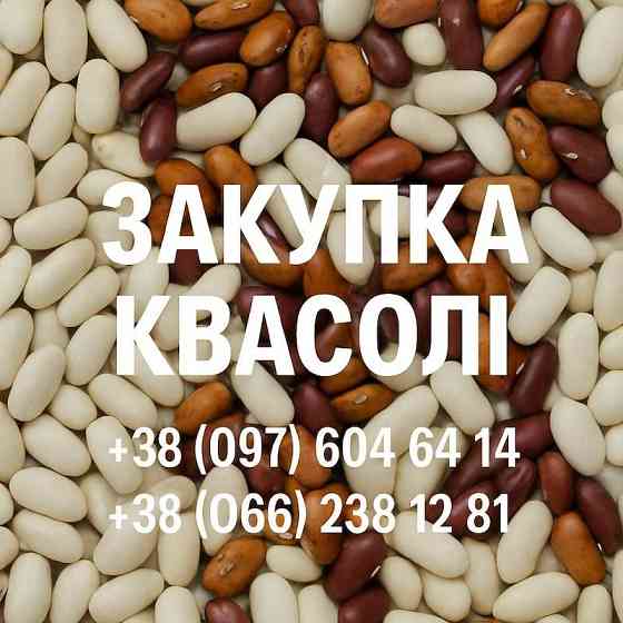 Купуємо квасолю різних сортів Запоріжжя