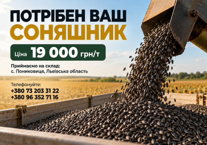 Потрібен ваш соняшник! Львів - зображення 1