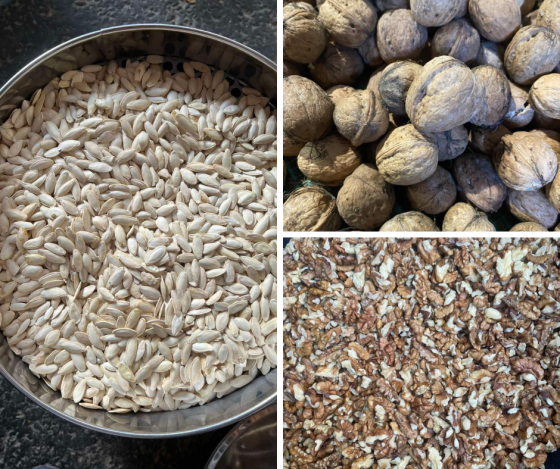 Закупівля насіння гарбуза та волоського горіха Вінниця