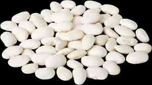 Закупівля квасолі для консервації та переробки Луцк