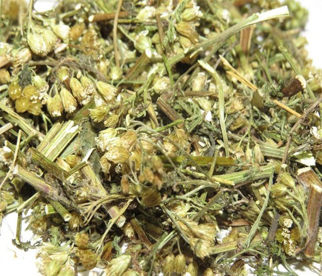 Тысячелистник (трава) фасовка от 100 грамм - 1 кг Харьков - изображение 1