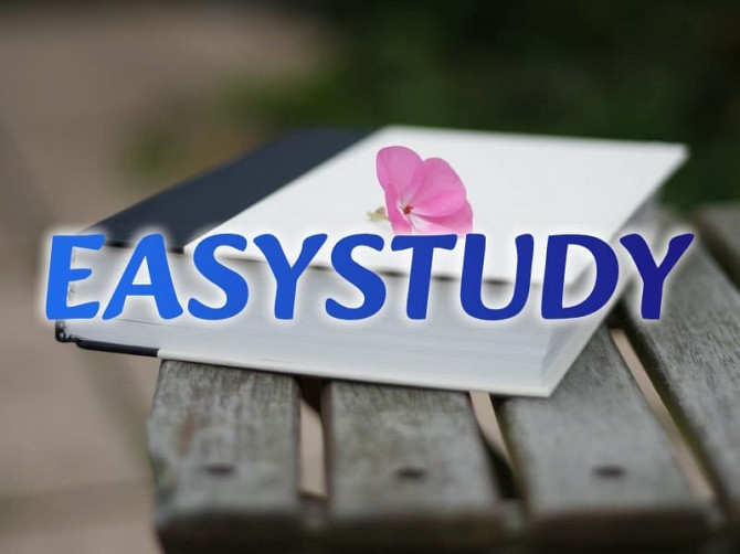 Замовити огляд літератури до магістерської роботи в Україні Київ - зображення 1