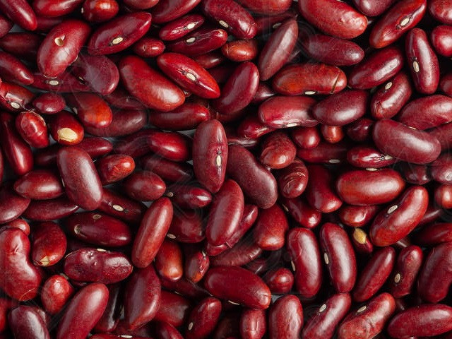 Квасоля від виробника — широкий вибір сортів Луцк - изображение 1