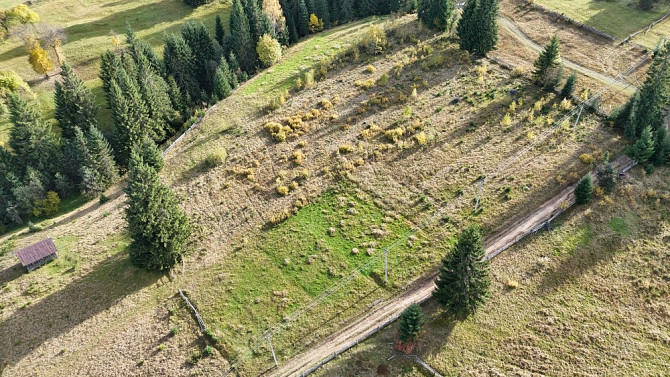 Земельна ділянка в Яблуниці 0.51 га Яремче - зображення 5